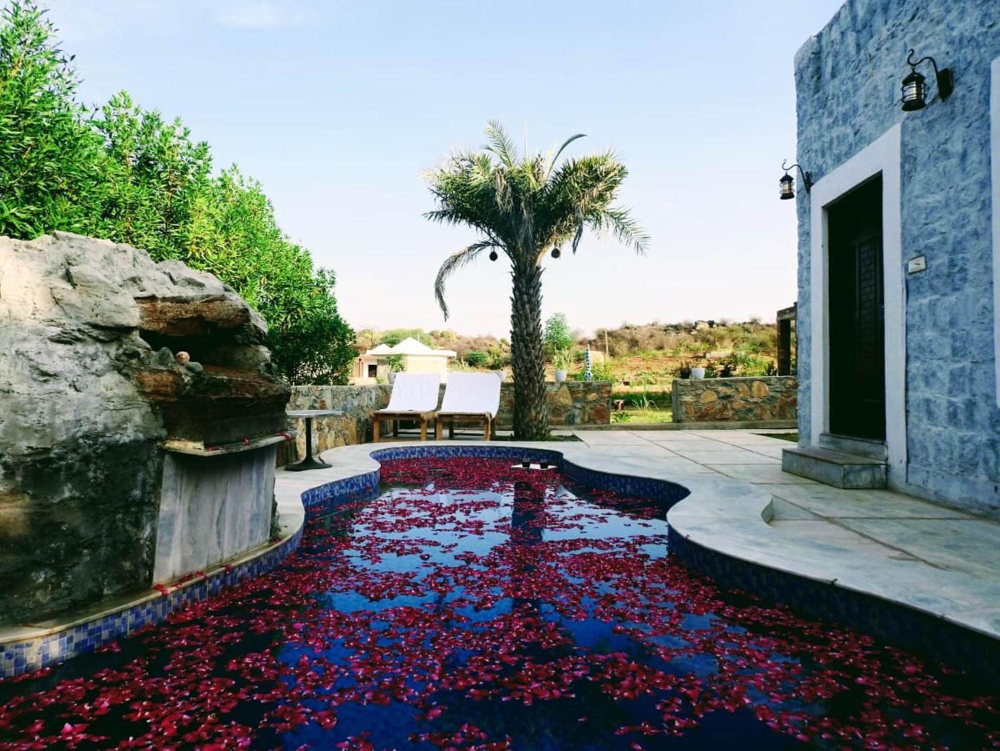 Bed and Breakfast Jawai Wildlife Safari Camp Nana Exteriér fotografie
