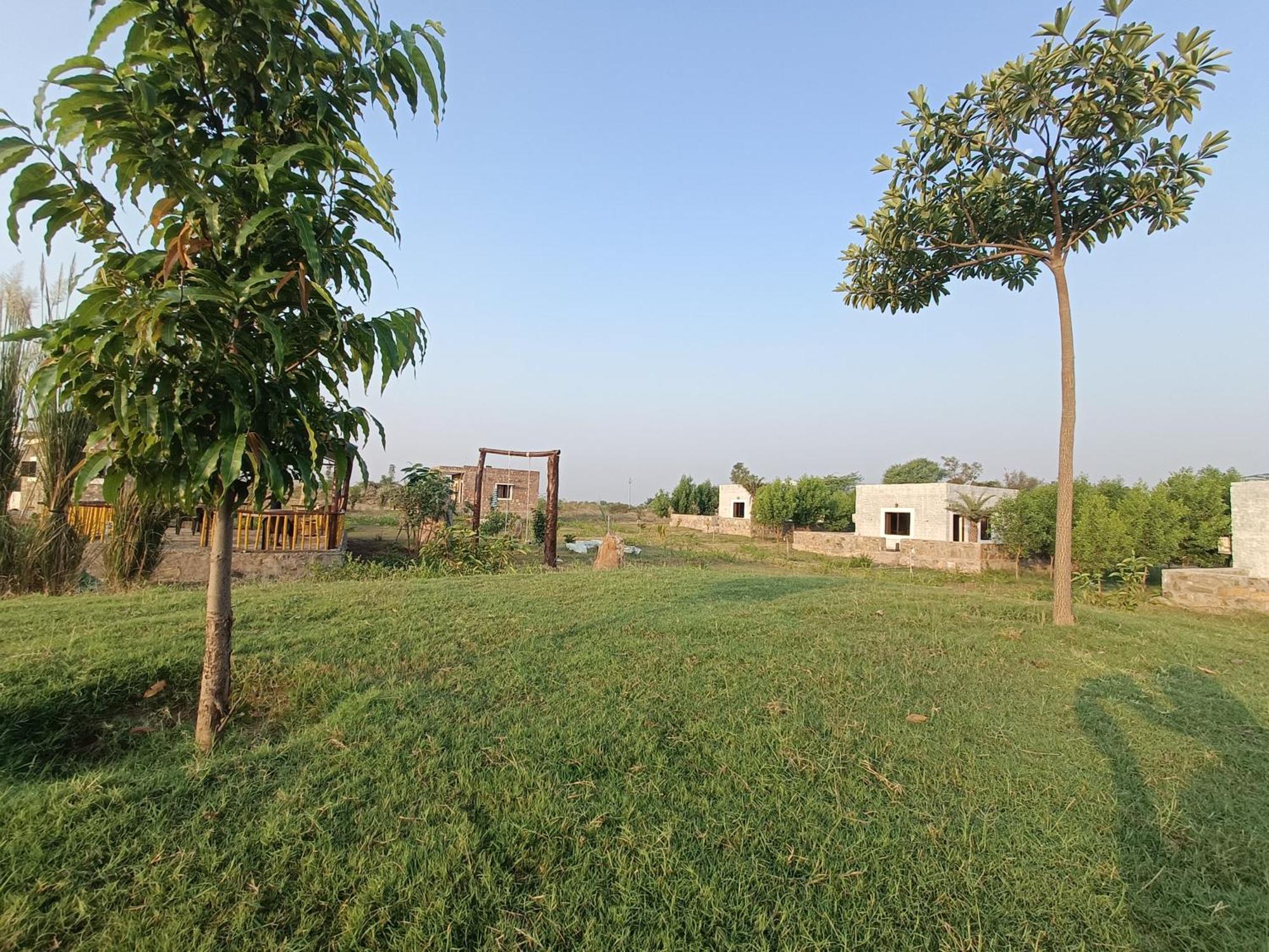 Bed and Breakfast Jawai Wildlife Safari Camp Nana Exteriér fotografie