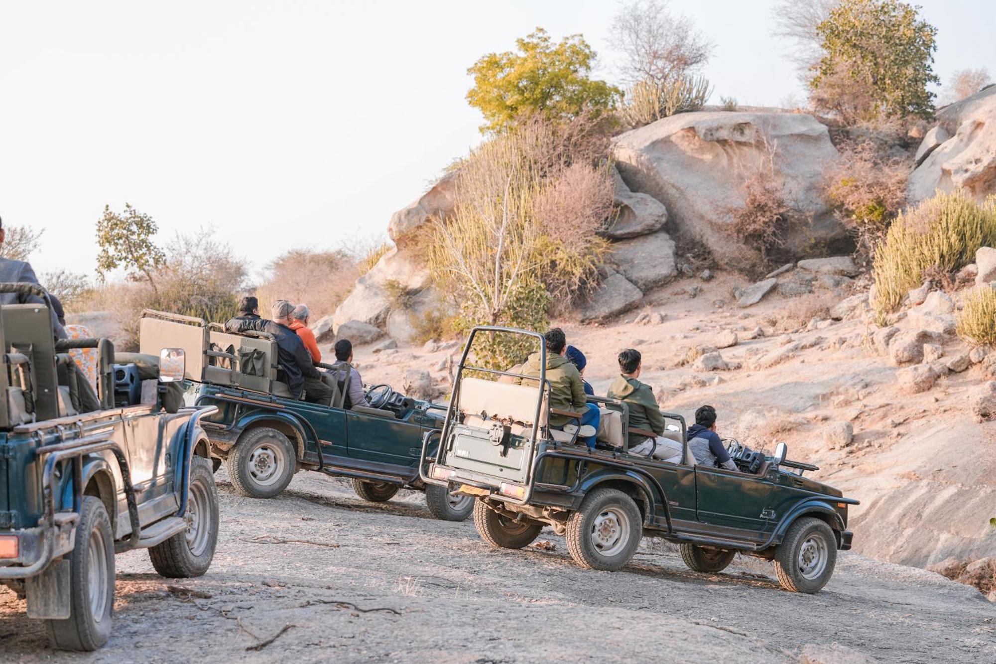 Bed and Breakfast Jawai Wildlife Safari Camp Nana Exteriér fotografie